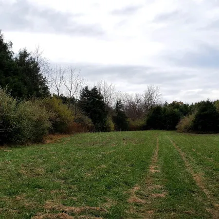 a view of a field with trees in the background