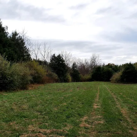 a view of a field with trees in the background
