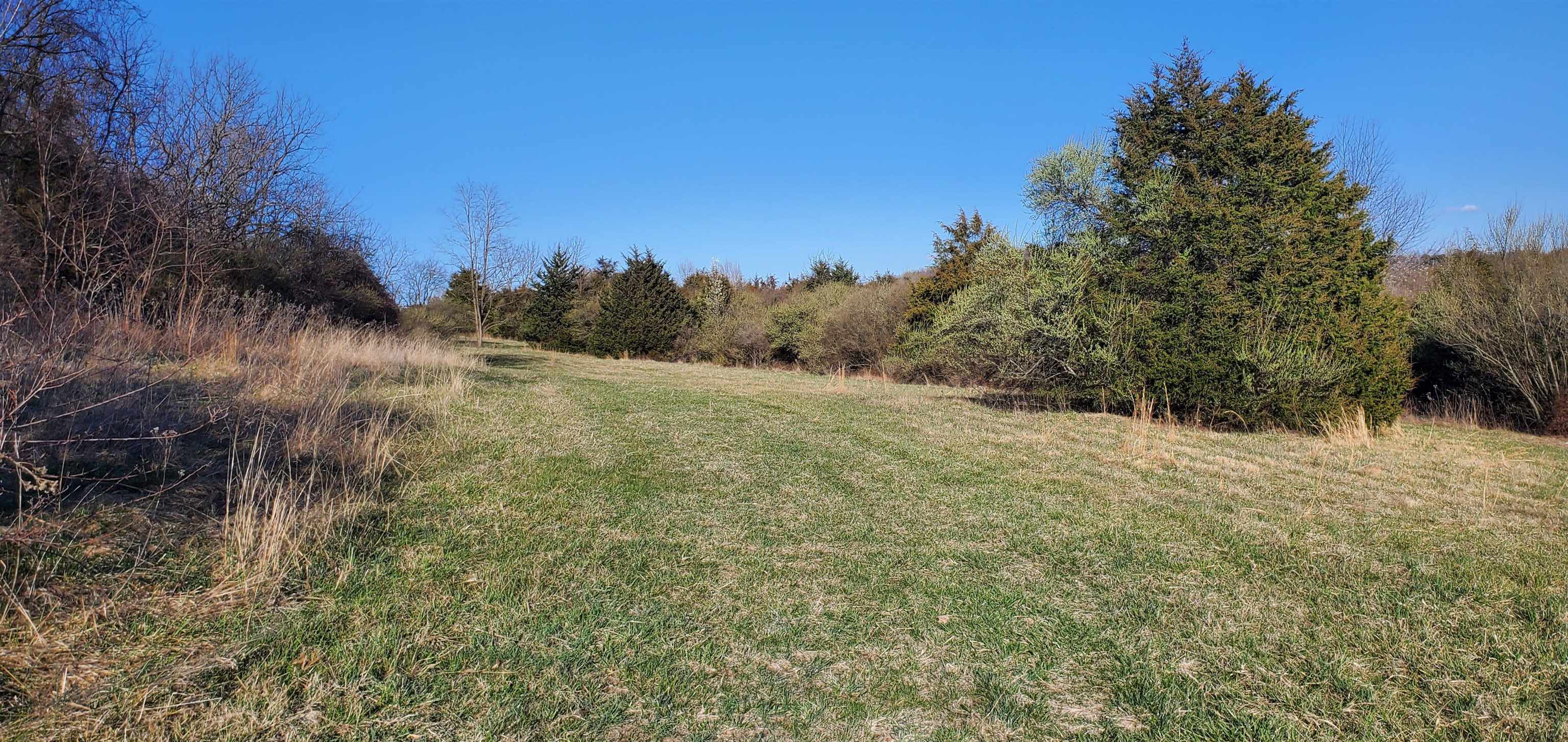 3-crown Ridge Berry Farm Road Verona, VA 24482 - Photo 14 of 47 a view of a field with trees in the background