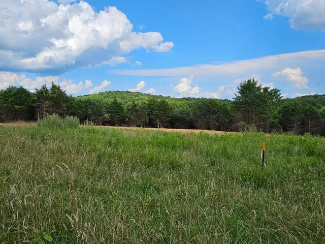 a view of a yard with an trees