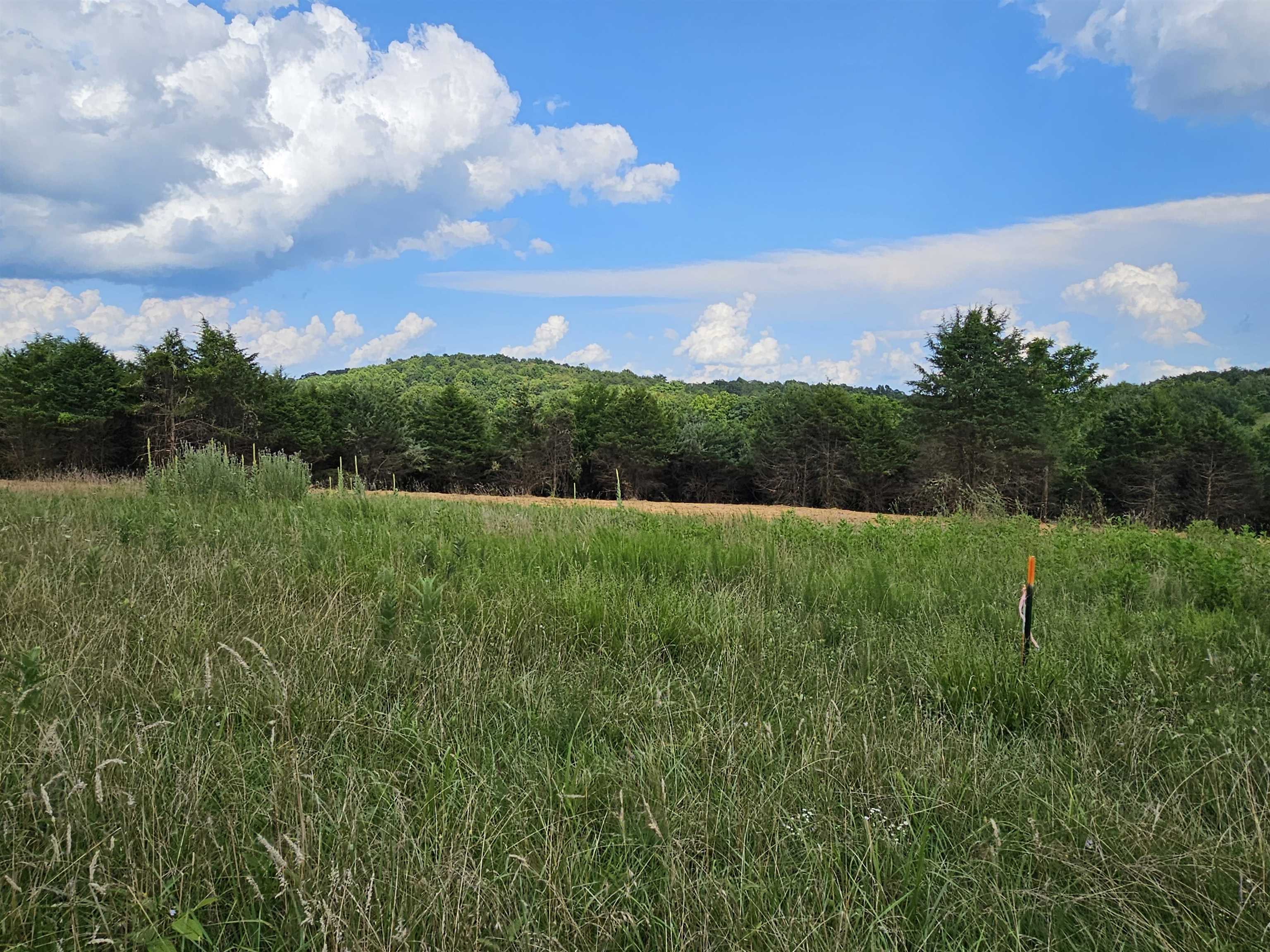 3-crown Ridge Berry Farm Road Verona, VA 24482 - Photo 15 of 47 a view of grassy field with mountain
