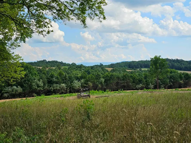 a view of a big yard with a house in the background