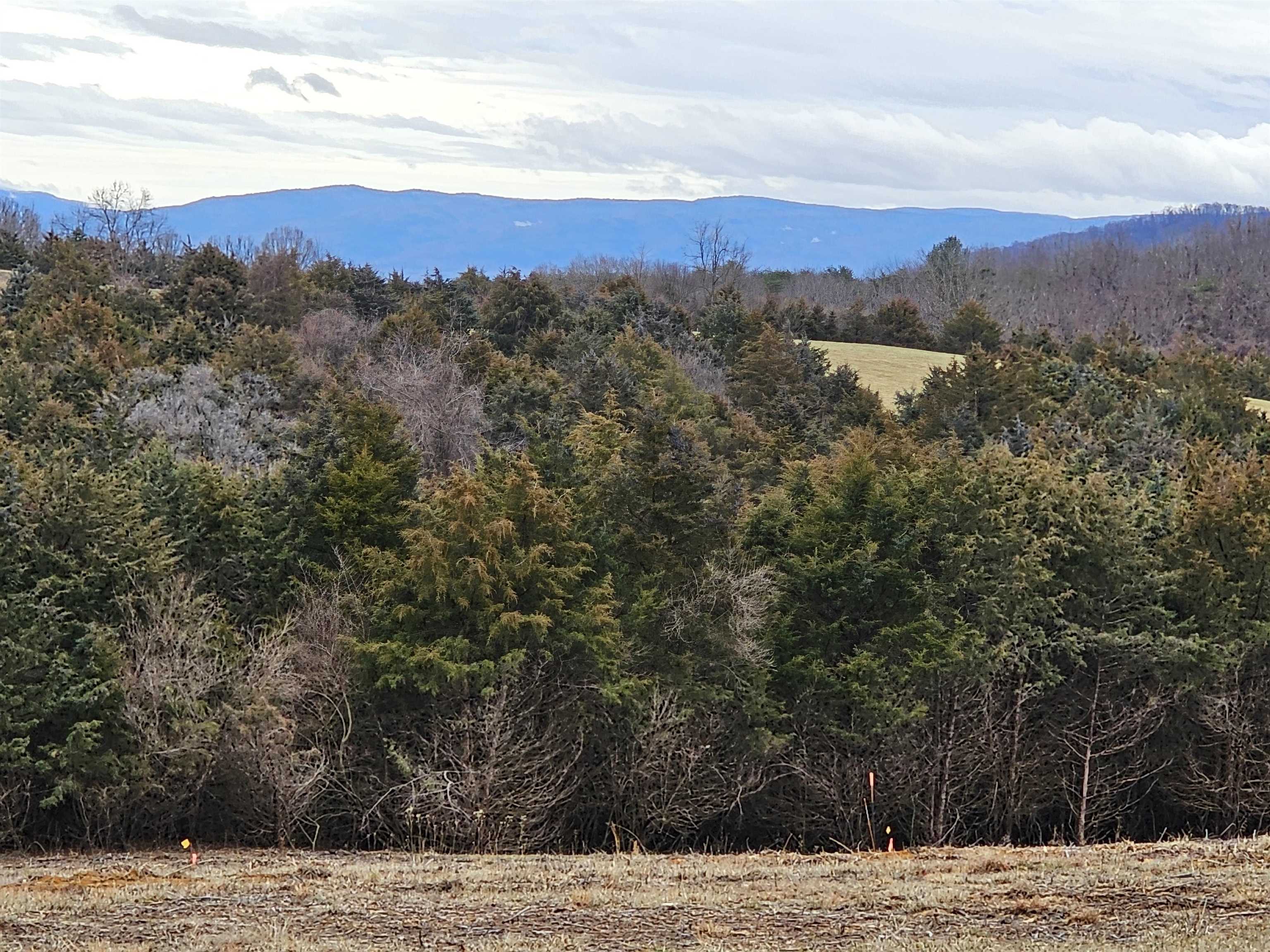 3-crown Ridge Berry Farm Road Verona, VA 24482 - Photo 2 of 47 a view of mountain with sunset in background