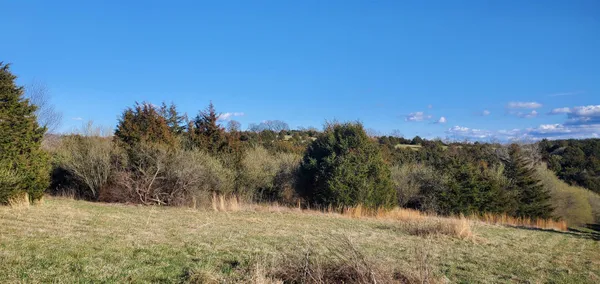 a view of a field with an ocean