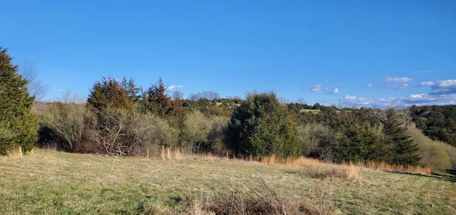 a view of a field with an ocean