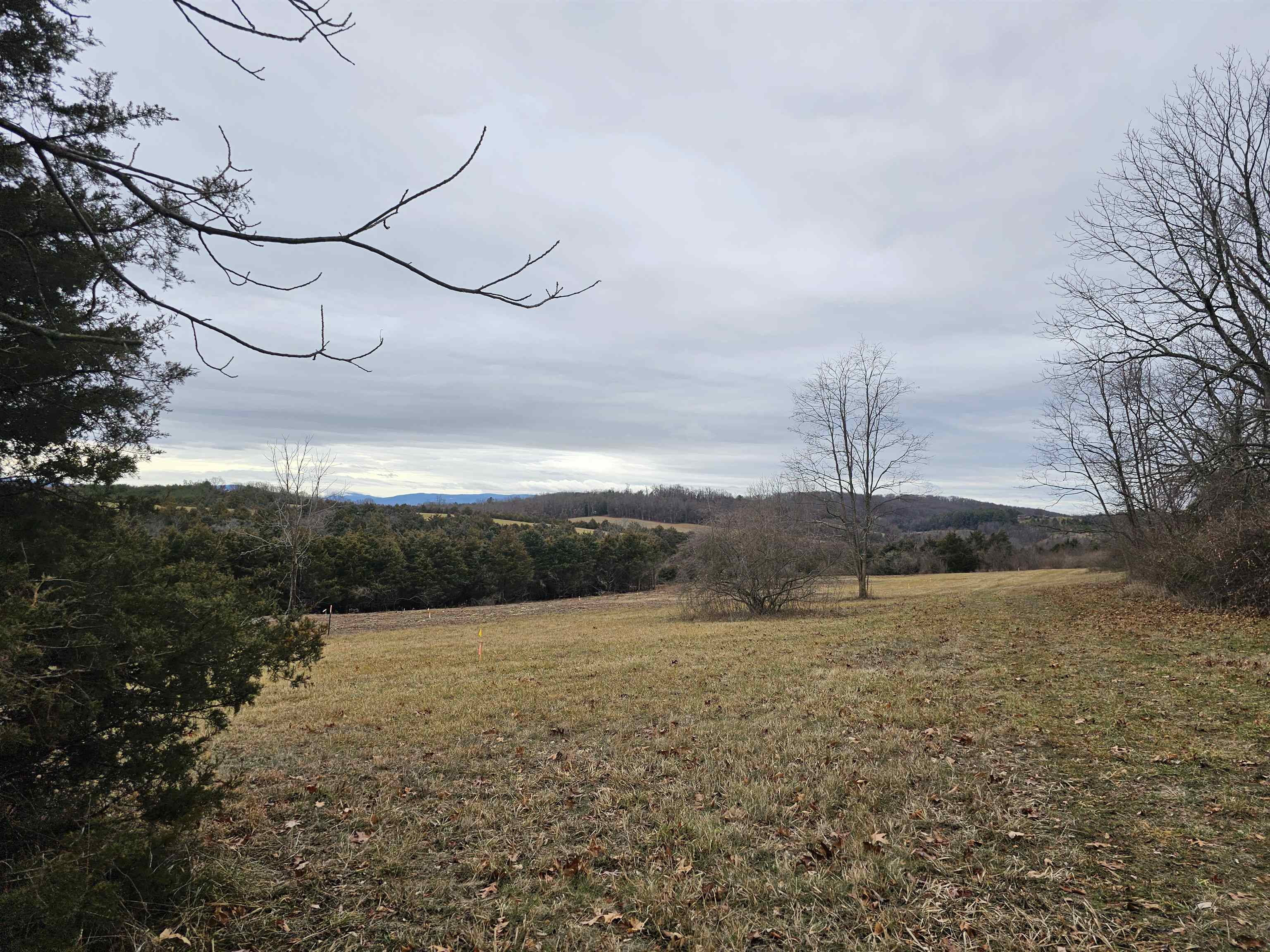 3-crown Ridge Berry Farm Road Verona, VA 24482 - Photo 23 of 47 a view of a field with an ocean