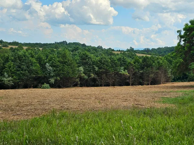 a view of an ocean and beach
