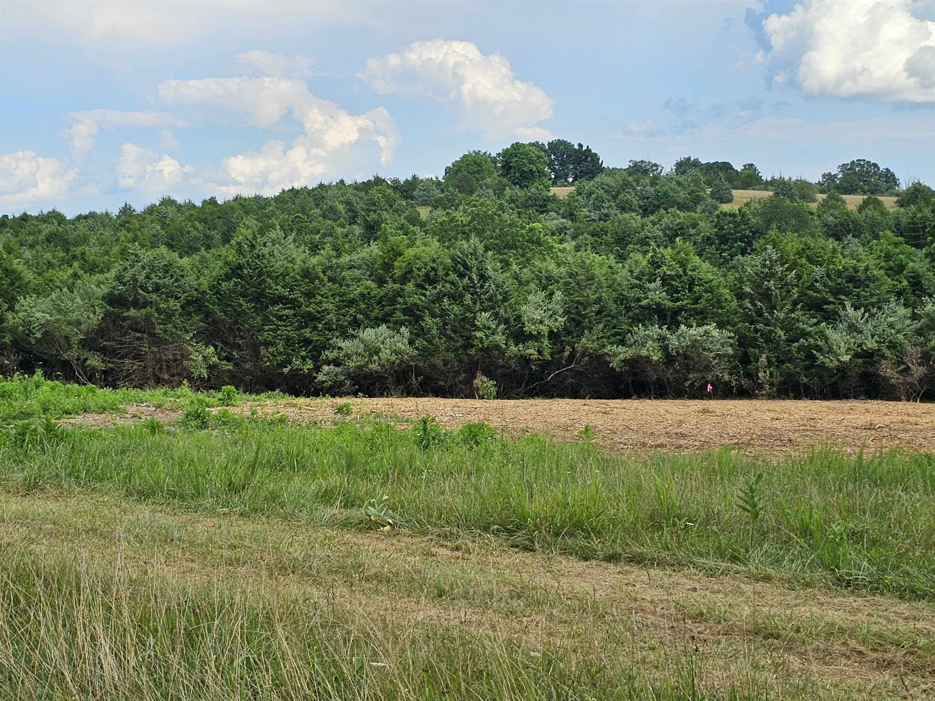 3-crown Ridge Berry Farm Road Verona, VA 24482 - Photo 26 of 47 a view of a yard