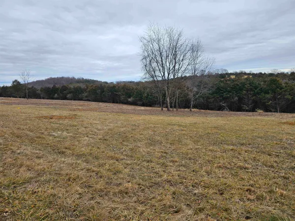 a view of city and mountain