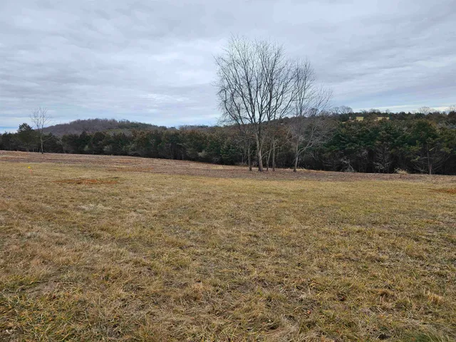 a view of city and mountain