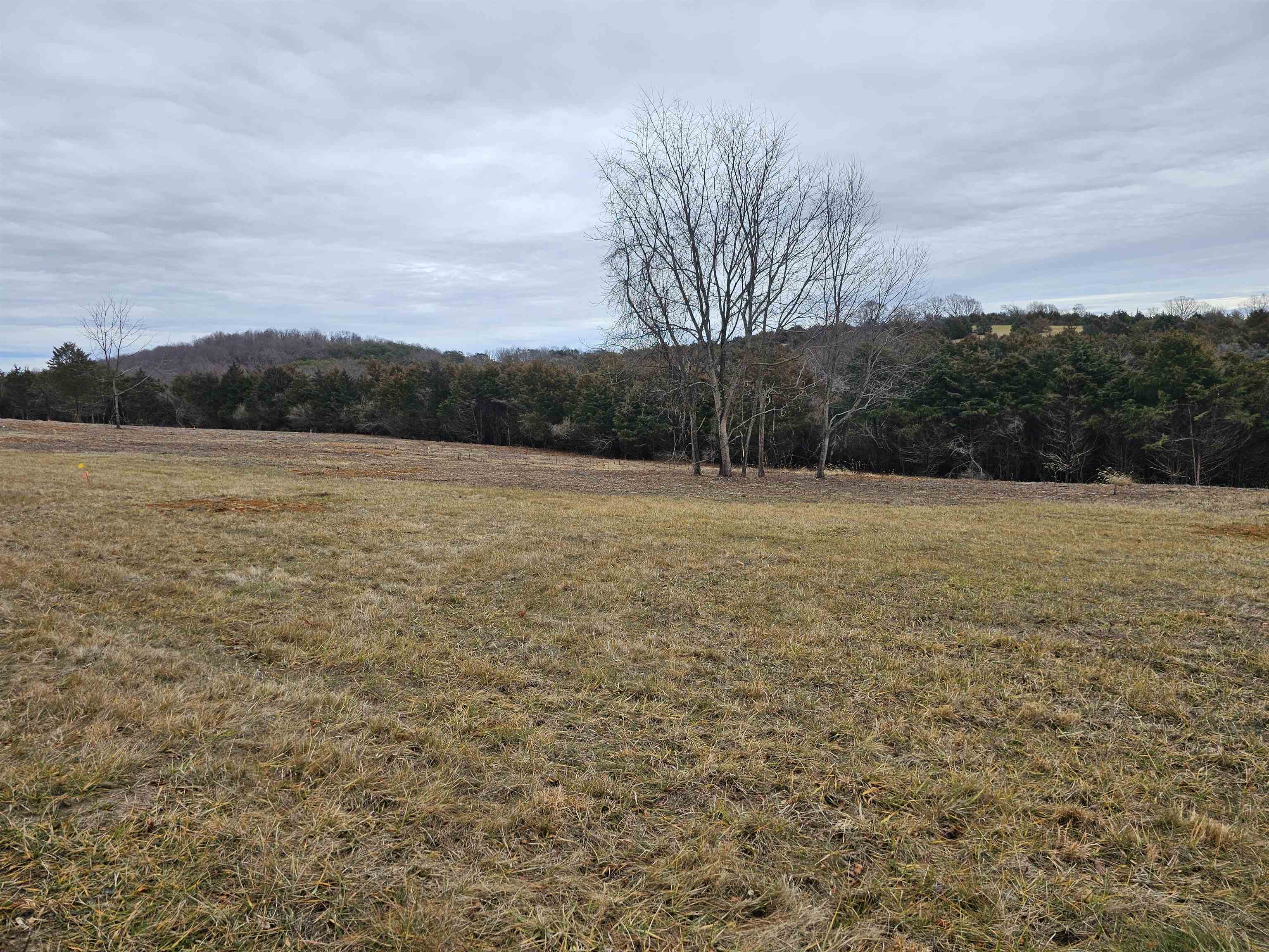 3-crown Ridge Berry Farm Road Verona, VA 24482 - Photo 28 of 47 a view of an outdoor space and a yard