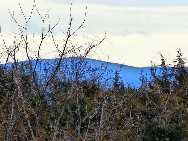 a view of a dry yard with wooden fence