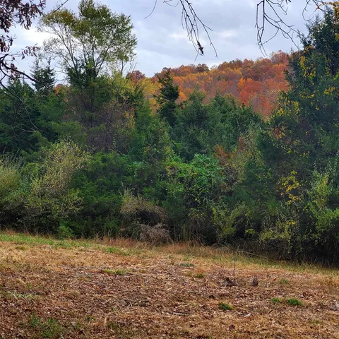 a view of outdoor space with lots of trees