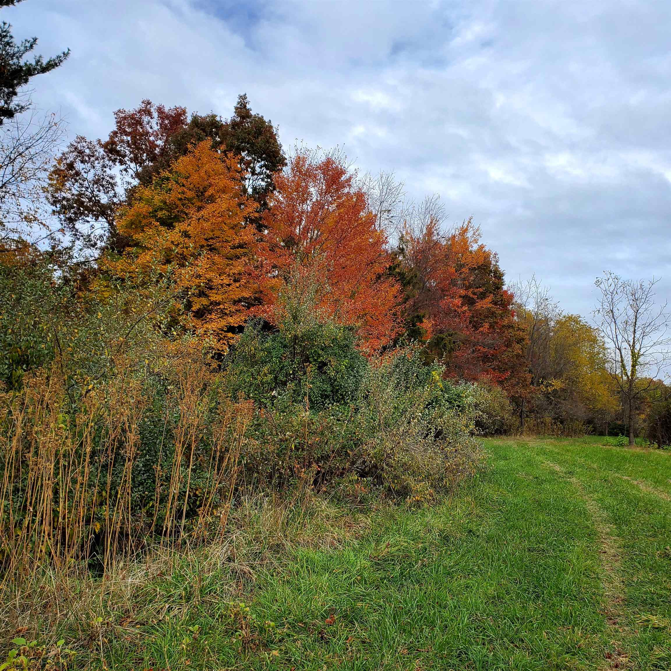3-crown Ridge Berry Farm Road Verona, VA 24482 - Photo 37 of 47 a view of a bunch of trees