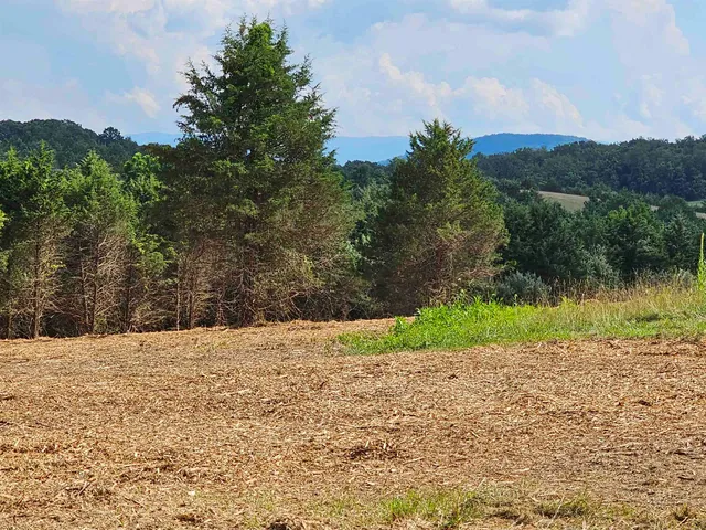 a view of a backyard of a house
