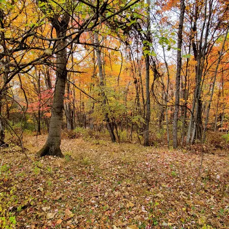 a bird view of red house