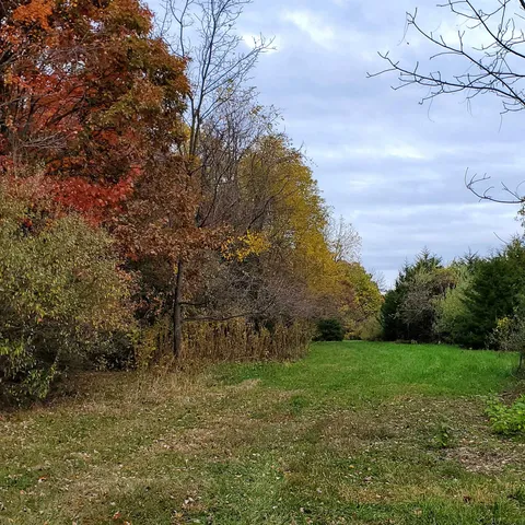 a view of yard with green space