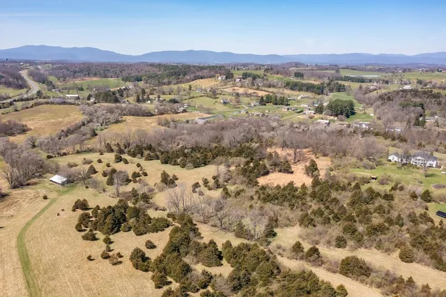 a view of a grassy field with trees in the background