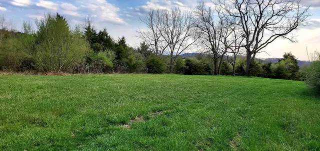 a view of an outdoor space with a lake view