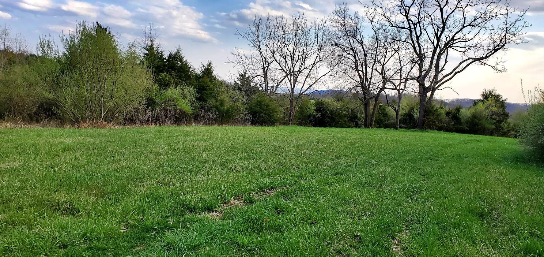 3-crown Ridge Berry Farm Road Verona, VA 24482 - Photo 8 of 47 a view of a grassy field with trees in the background