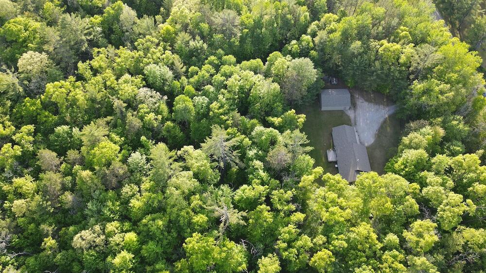 4335 Kings Corner Road Glennie, MI 48737 - Photo 31 of 90 DJI_0842