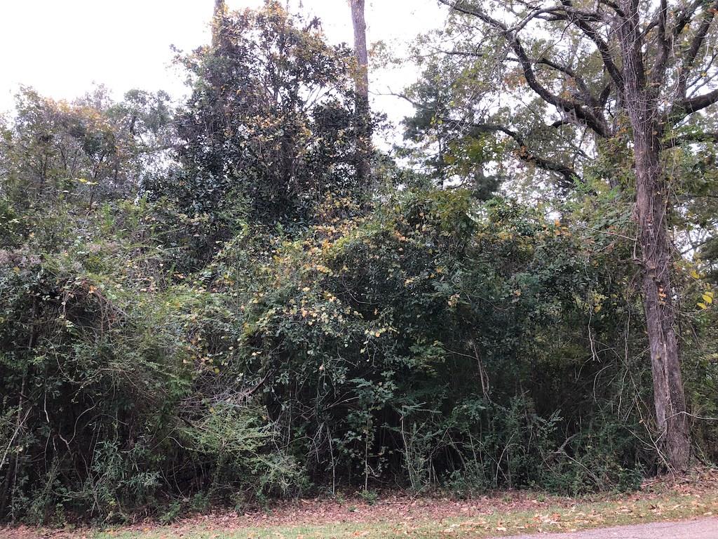 Lot 8 Koepp Road Madisonville, LA 70447 - Photo 3 of 4 Gallery Image 3