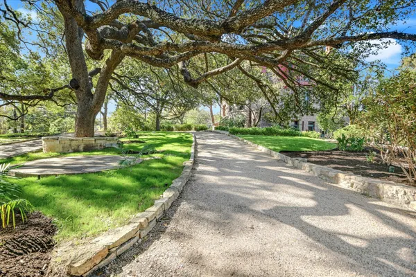 a view of a park with large trees