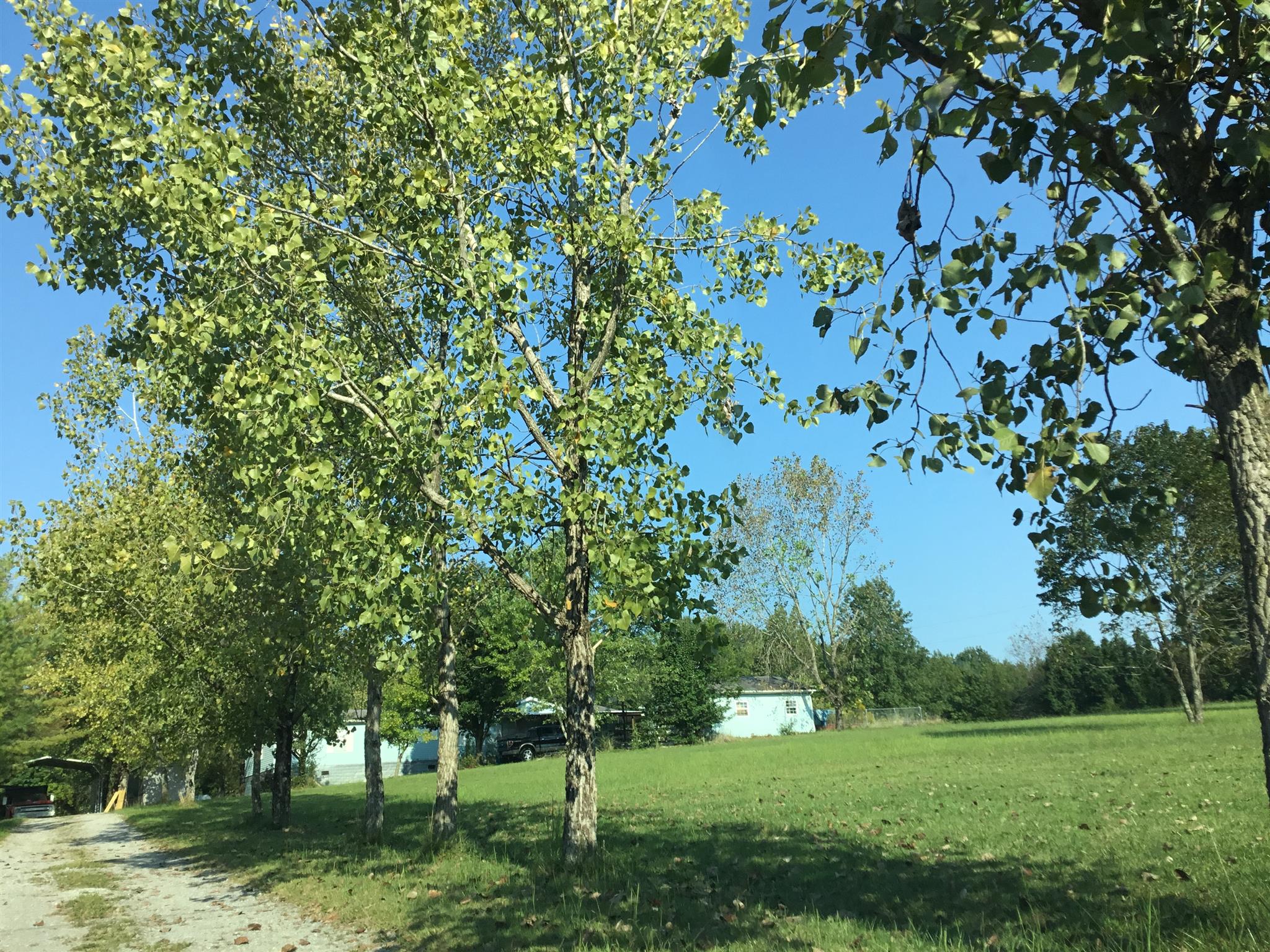 2040 Sugar Camp Road Springfield, TN 37172 - Photo 4 of 19