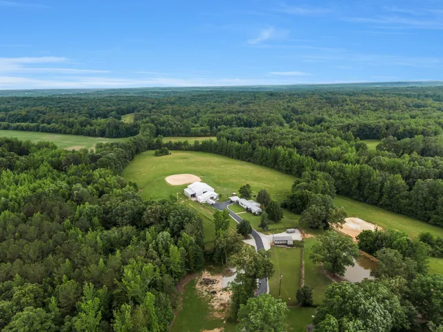 a view of a yard with plants and a bench