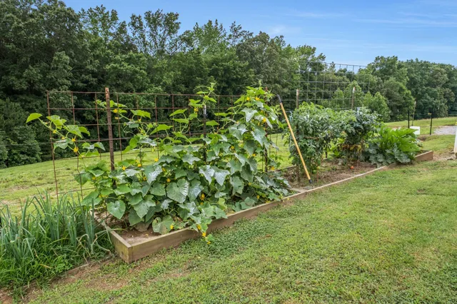 $430,000 | 190 Carmack Drive, Lexington, TN 38351