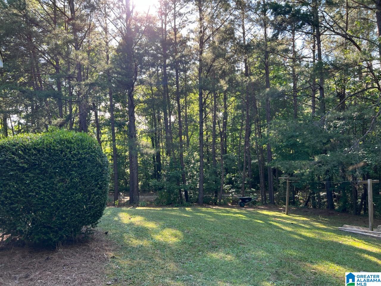 266 Valley View Drive Oneonta, AL 35121 - Photo 5 of 15