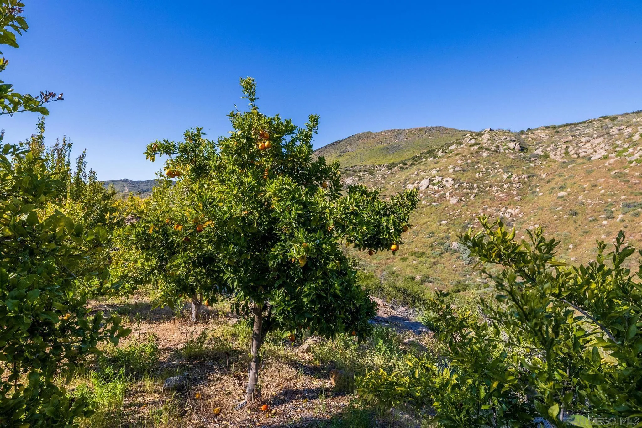 35140 Stirrup Road Temecula, CA 92592 - Photo 51 of 75
