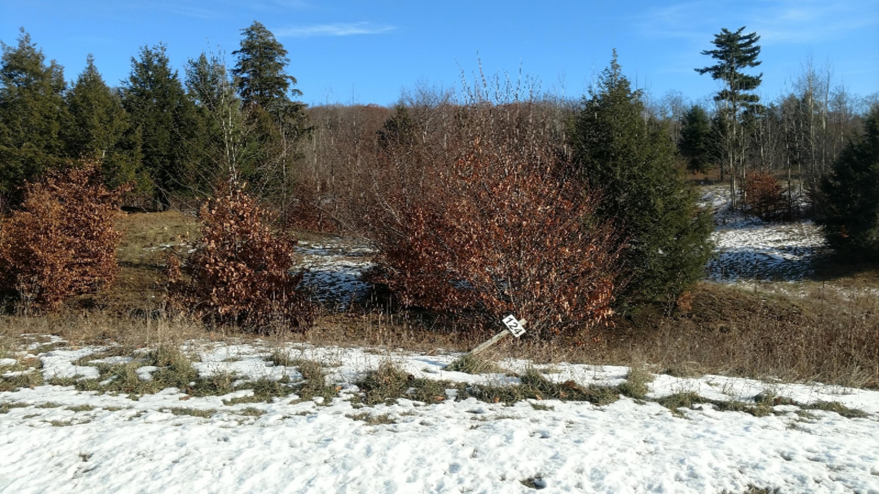 Lot 124 Horizon Ridge Lane Onekama, MI 49675 - Photo 2 of 12 IMG_20181218_113250225