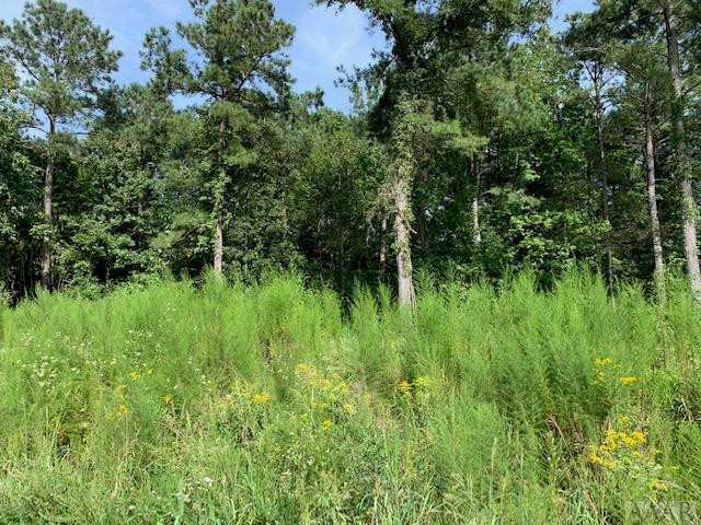 412 Batts Island Road Edenton, NC 27932 - Photo 2 of 8