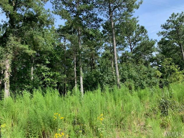 412 Batts Island Road Edenton, NC 27932 - Photo 4 of 8