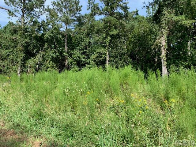 412 Batts Island Road Edenton, NC 27932 - Photo 6 of 8