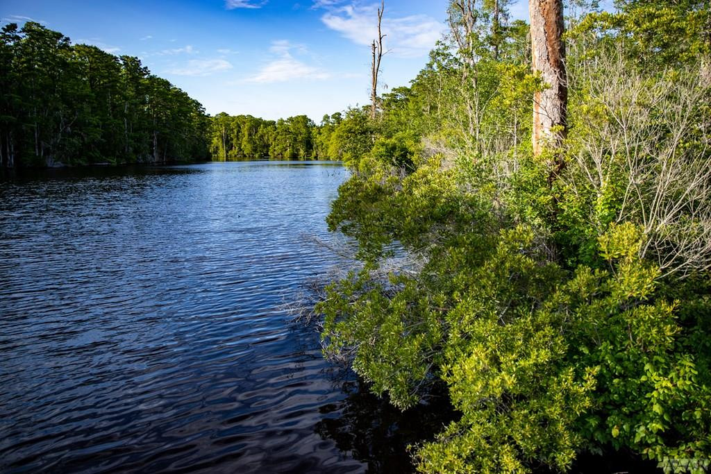 412 Batts Island Road Edenton, NC 27932 - Photo 8 of 8