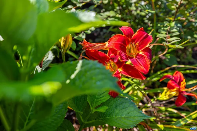 $1,199,900 | 137 Diamond Court, Harrisonburg, VA 22801