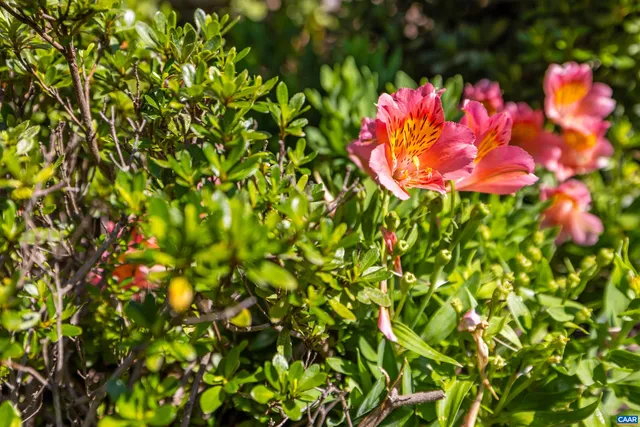 $949,900 | 137 Diamond Court, Harrisonburg, VA 22801