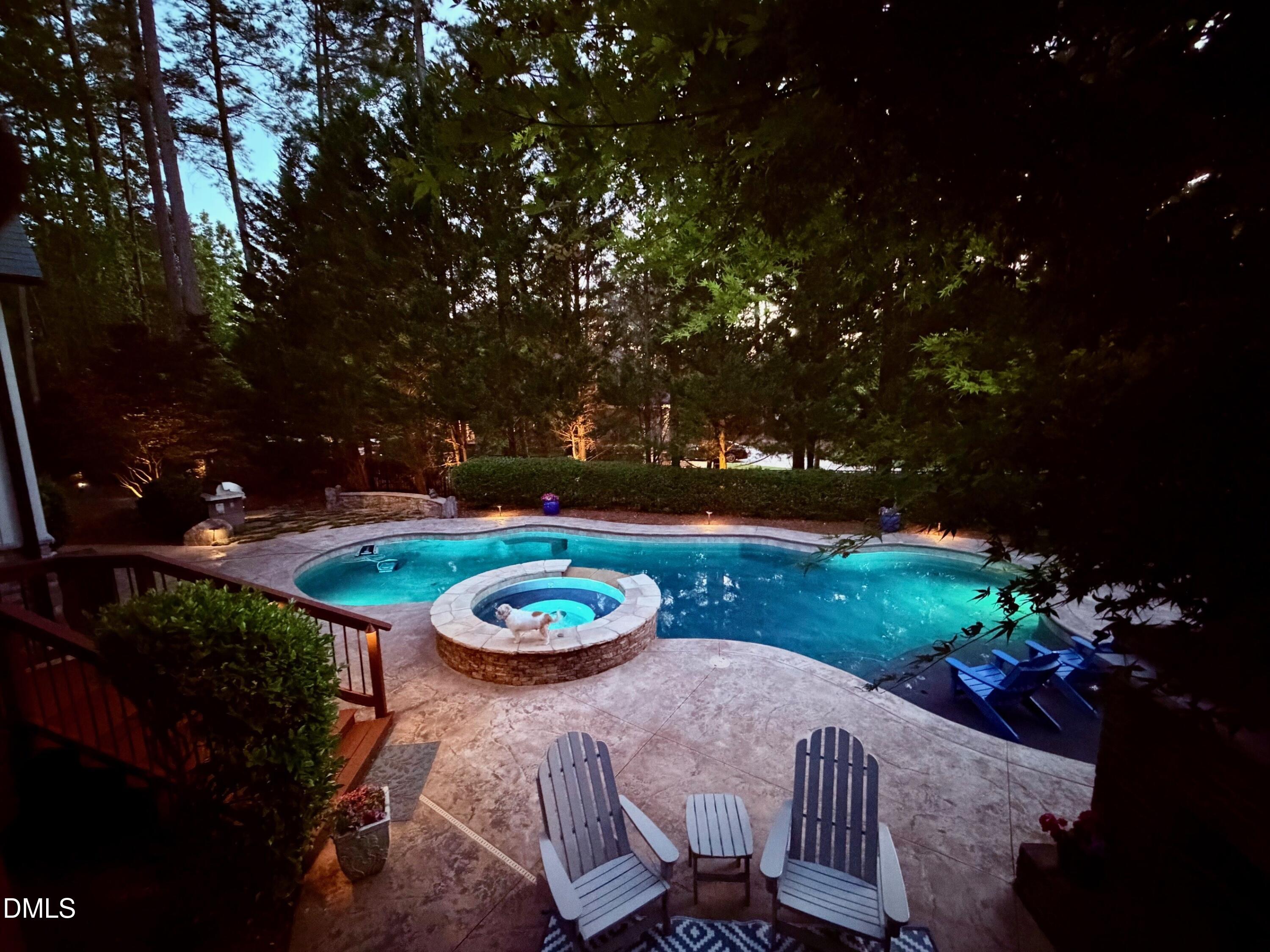 11305 Moonsprite Way Raleigh, NC 27614 - Photo 52 of 56 nighttime pool photo with rusty