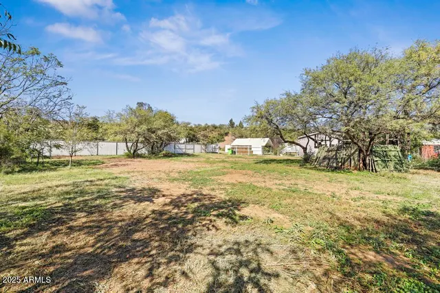 a view of yard with green space