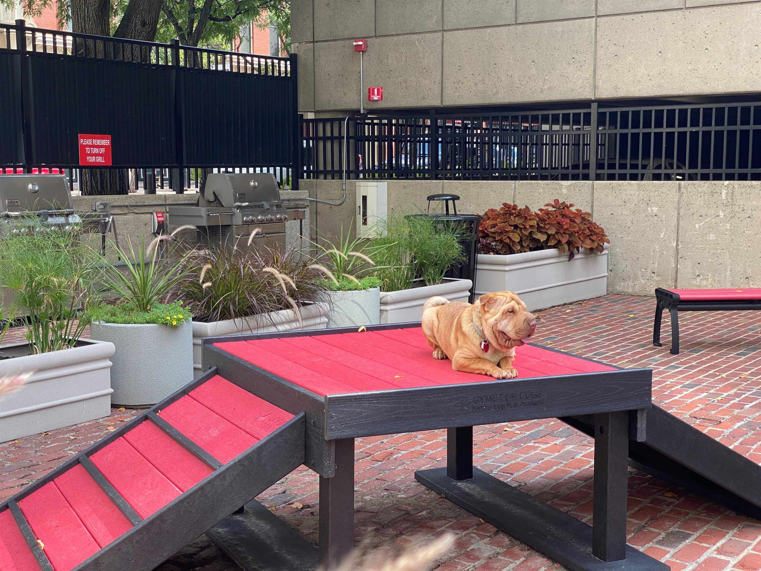 875 Elm Street, Unit 316 Manchester, NH 03101 - Photo 34 of 40