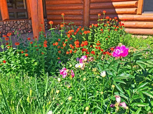 a flower view in front of a house