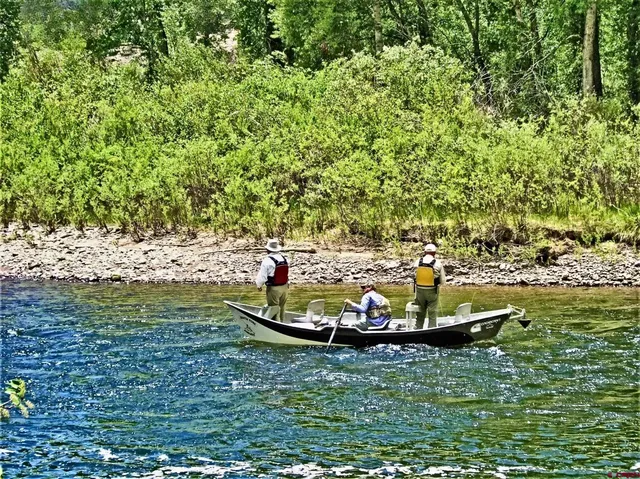 a view of a lake with a large trees