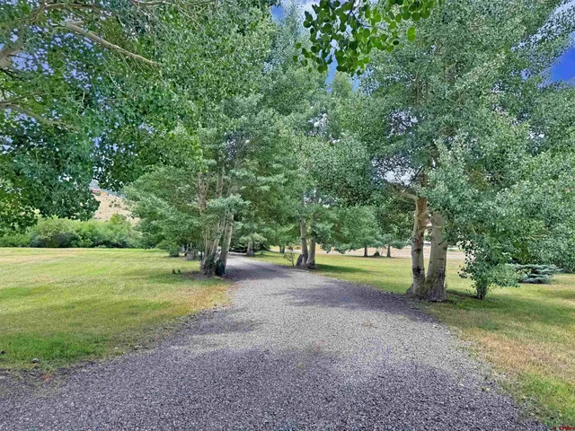 a view of a field with trees in the background