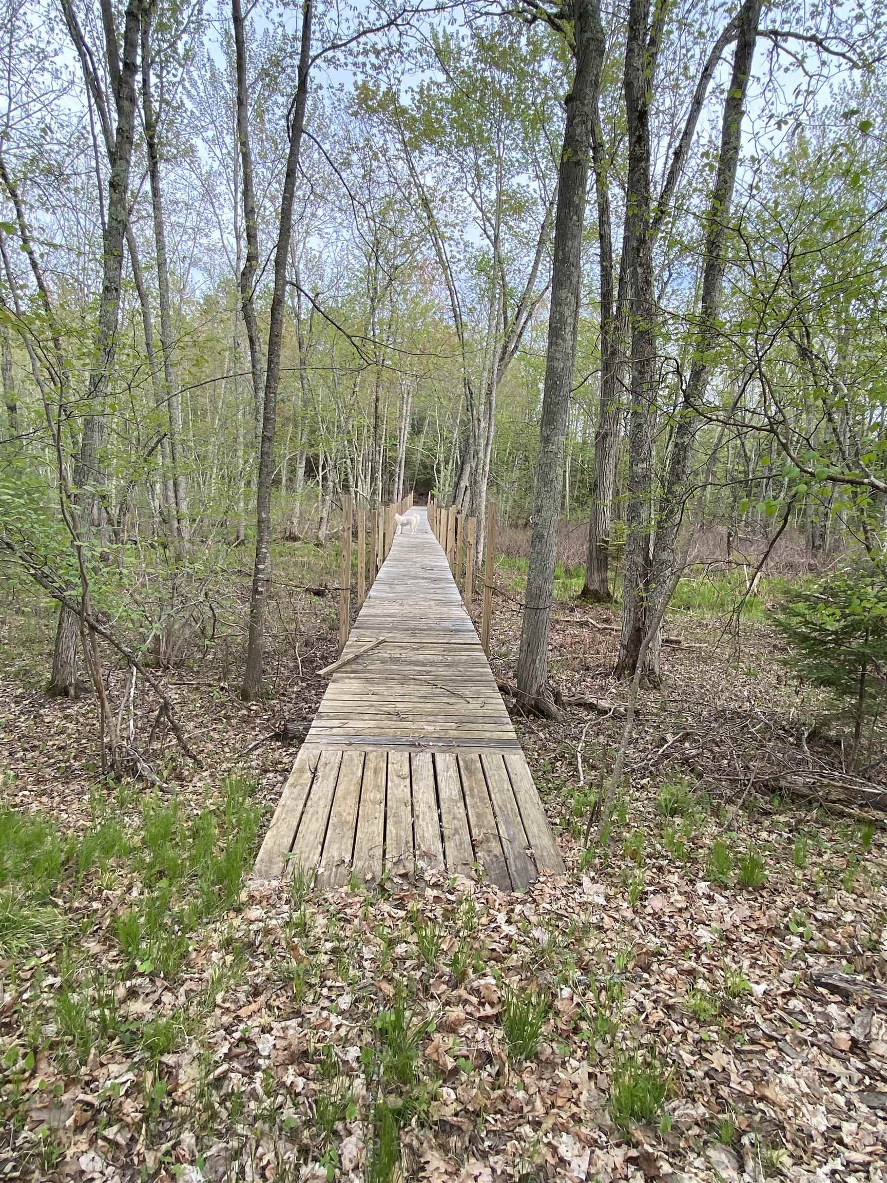 N11217 Rademaker Road Wausaukee, WI 54177 - Photo 3 of 6