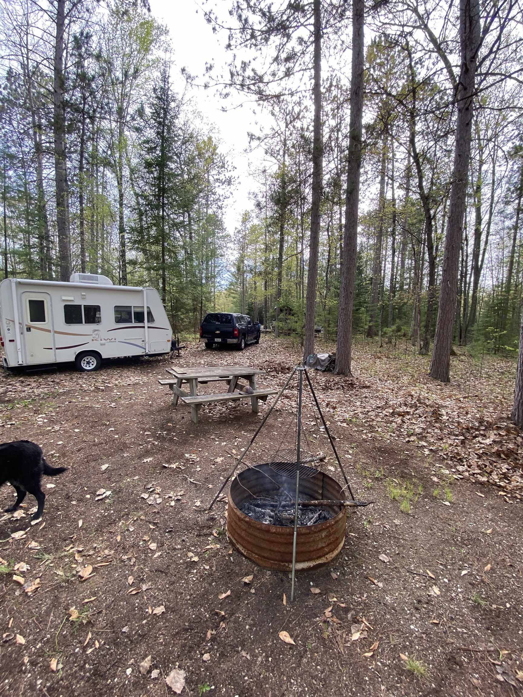 N11217 Rademaker Road Wausaukee, WI 54177 - Photo 5 of 6