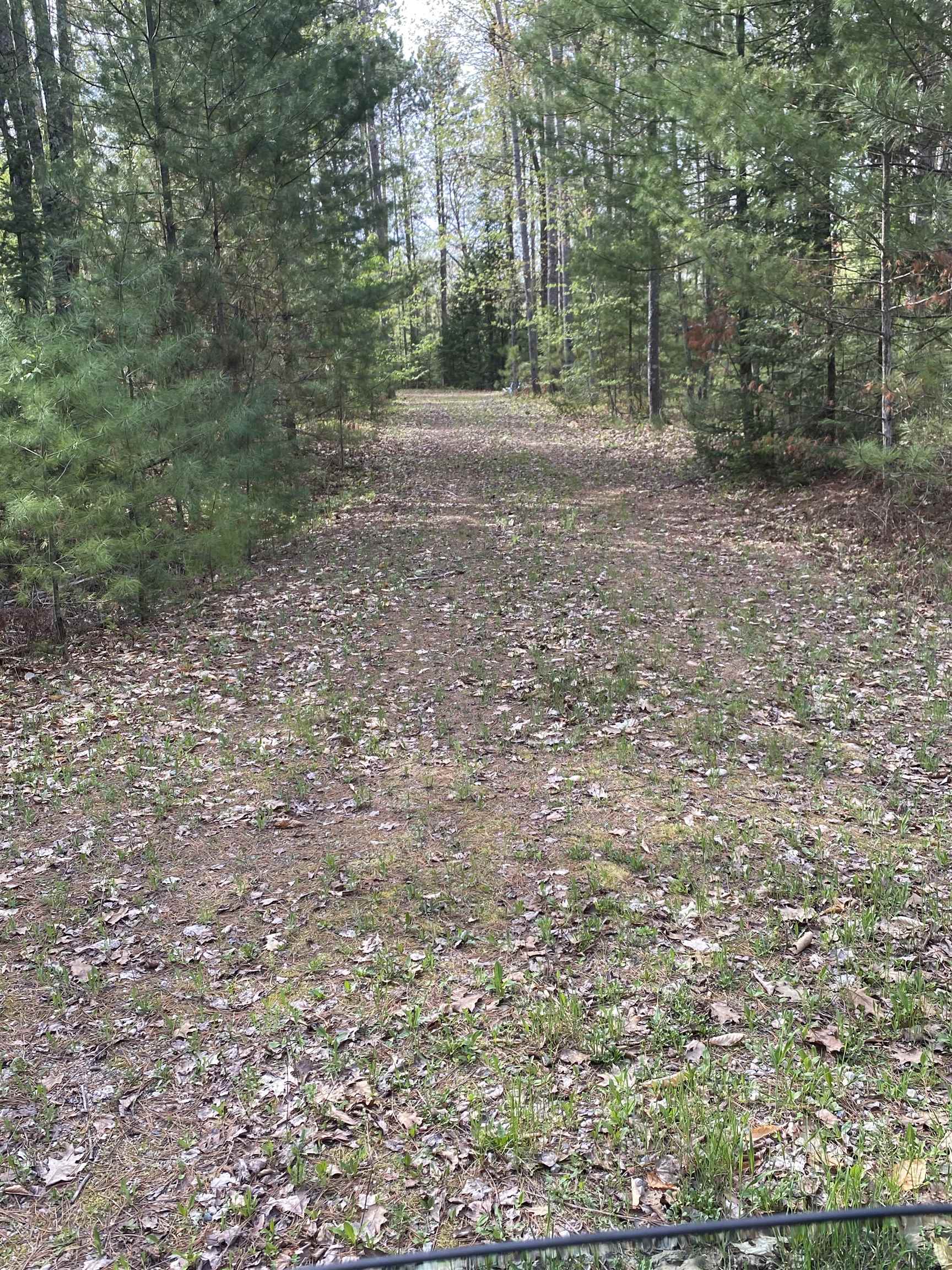 N11217 Rademaker Road Wausaukee, WI 54177 - Photo 6 of 6