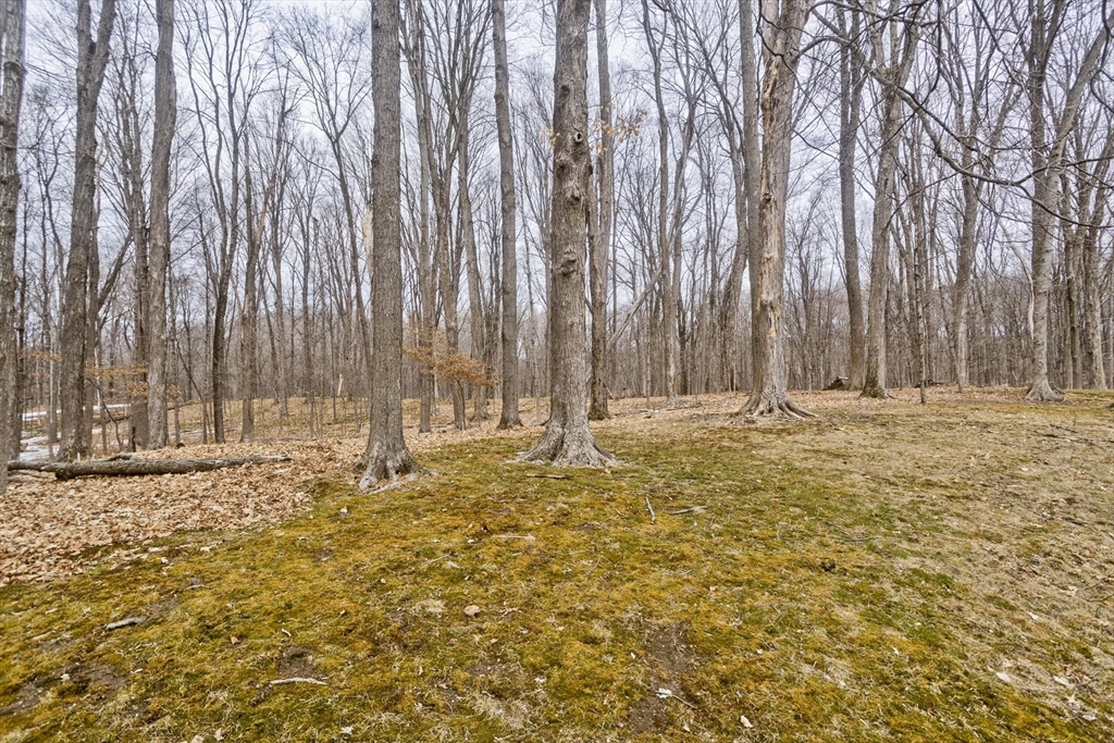 233 Franklin Road Longmeadow, MA 01106 - Photo 10 of 37