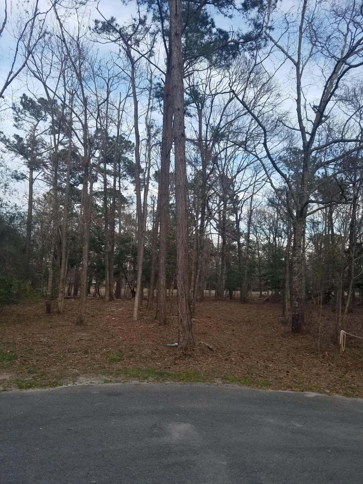 314 Wedge Road Hampstead, NC 28443 - Photo 4 of 4 20190317_184749